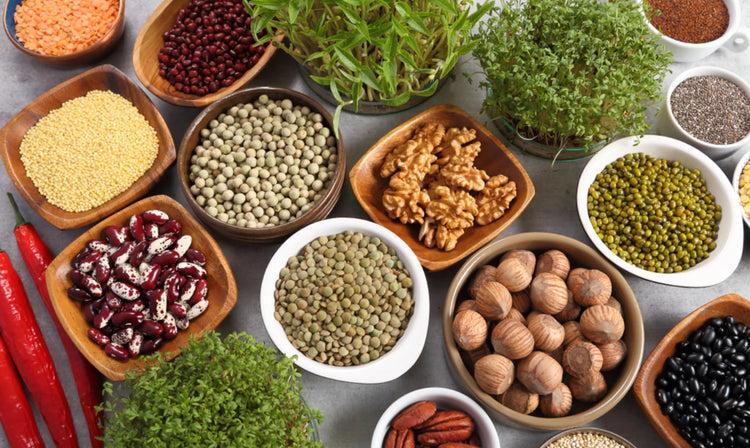 Beneficios de la proteína vegetal🌱